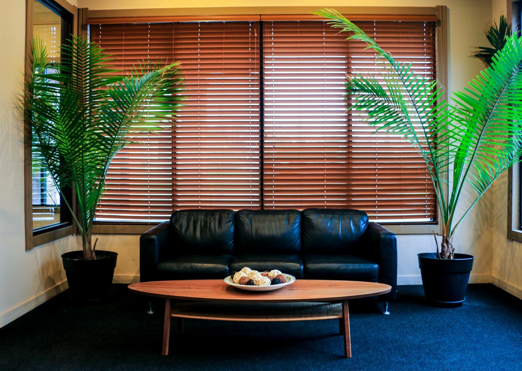Suite Dreams Hotel Mattoon Extérieur photo